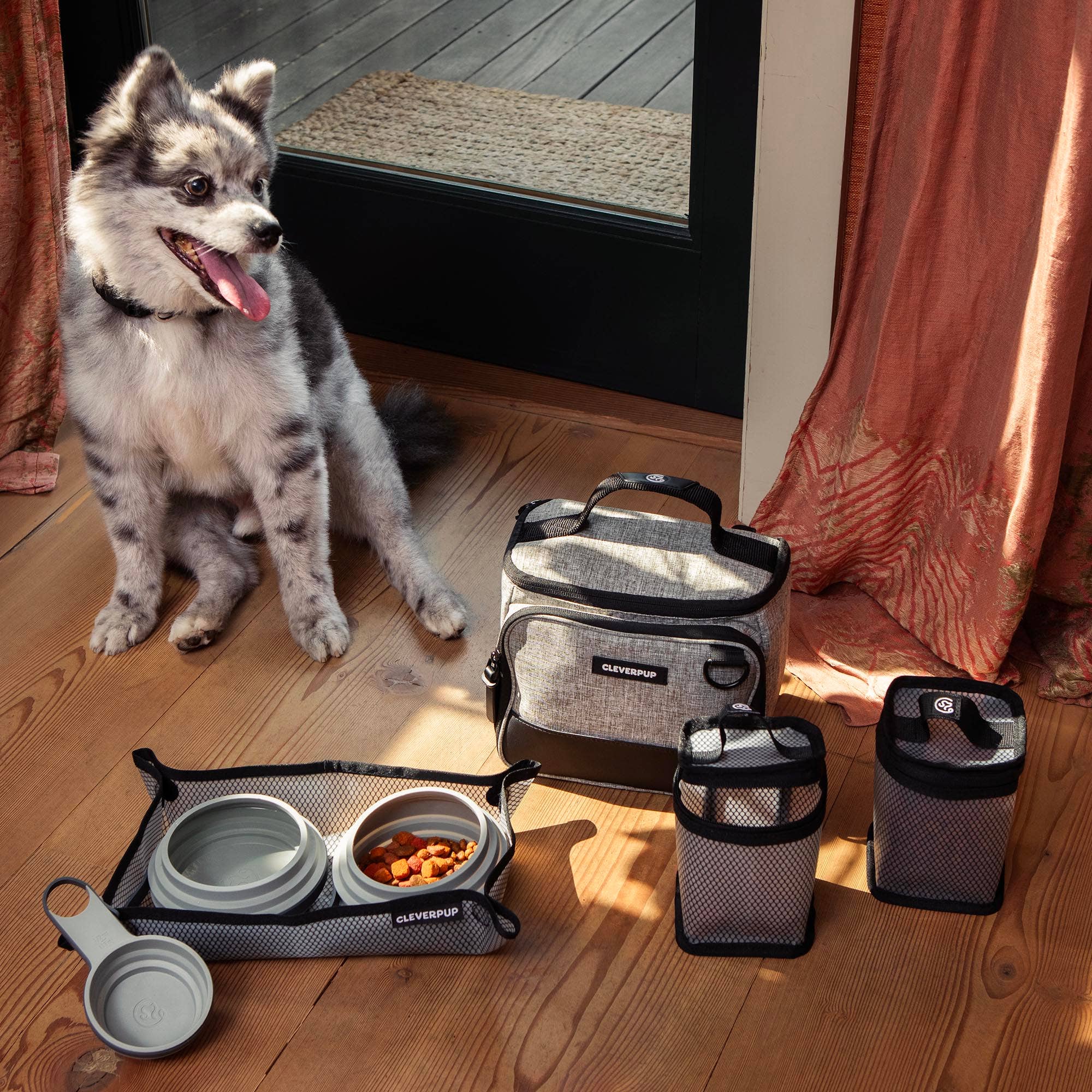 Cleverpup Bistro Box Dog Food Travel Kit
