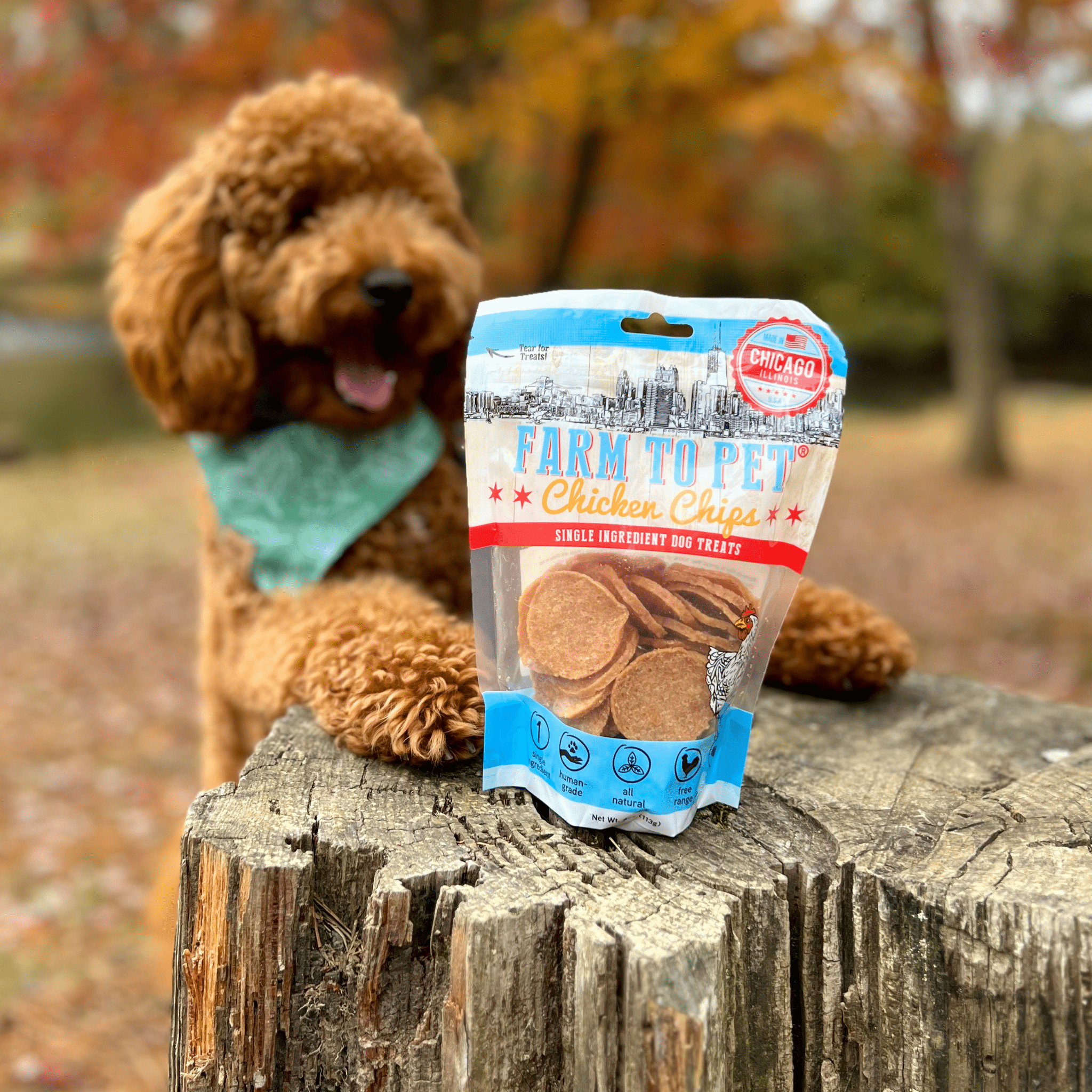Farm to Pet Chicago Chicken Chips Dog Treats