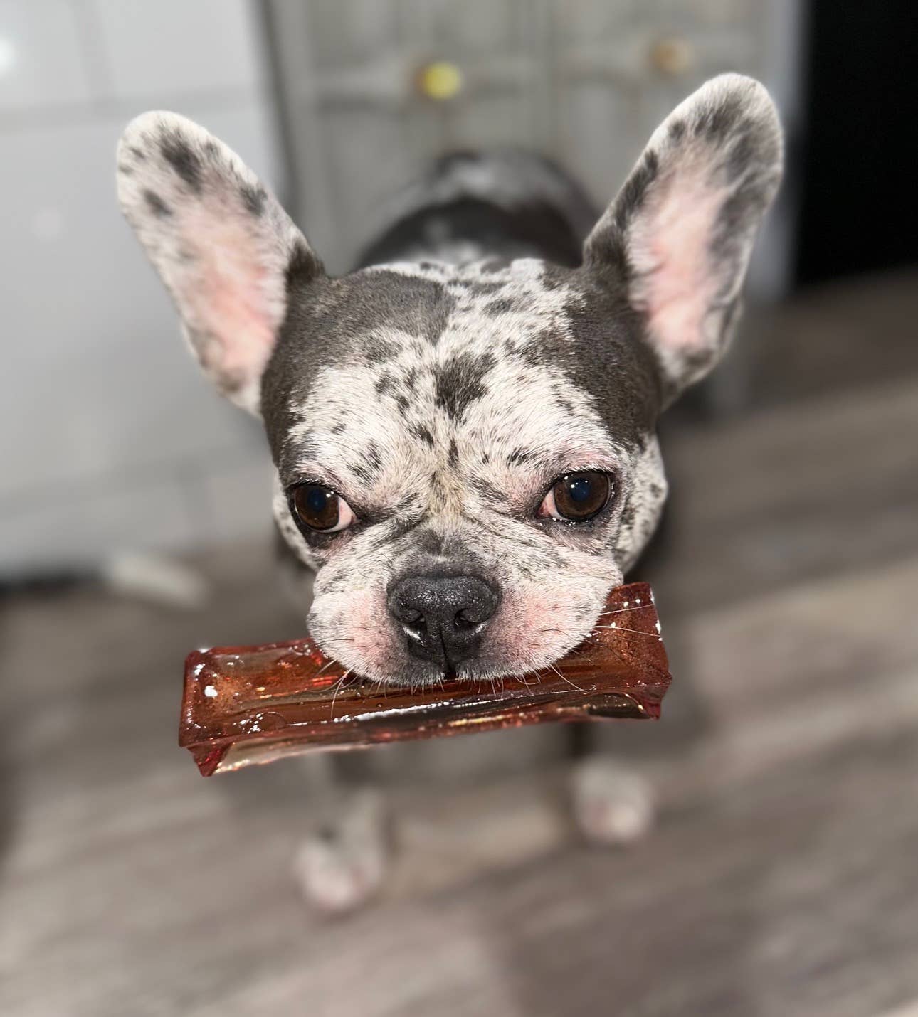 Wag & Bright Supply Co. Mighty Marrows Collagen Beef Liver Dental Chew