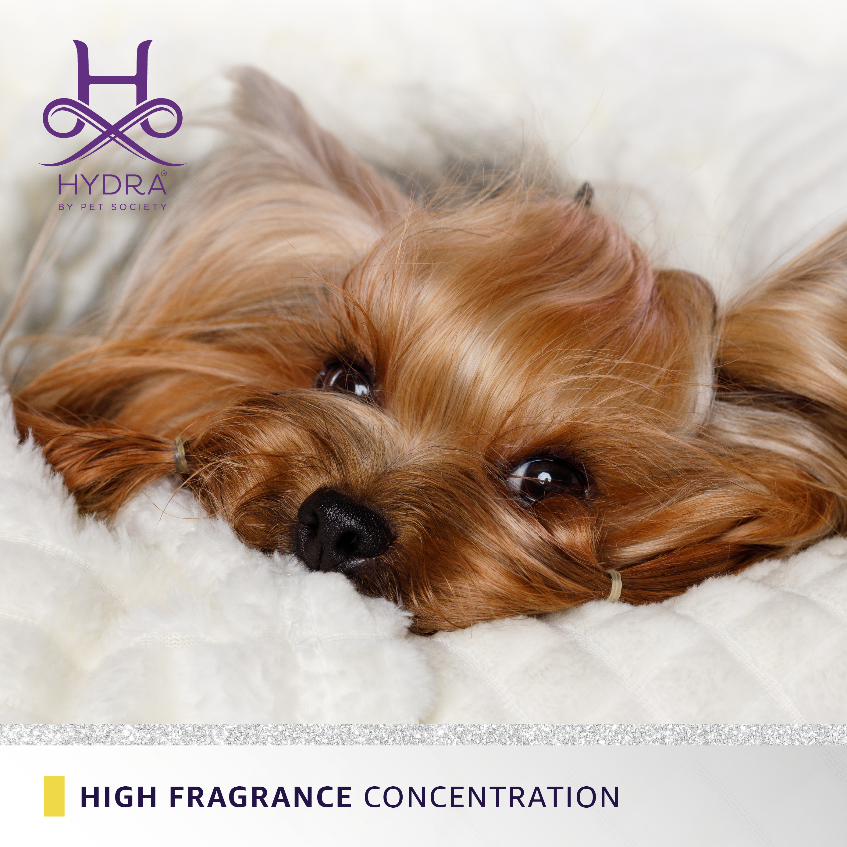 Hydra by Pet Society Hydra Professional Forever Candy Cologne for Dogs