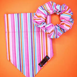 Mom And Pup Co. Over the Collar Dog Bandana