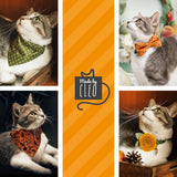 Made By Cleo - "Hearthside" - Bandana for Cat + Small Dog