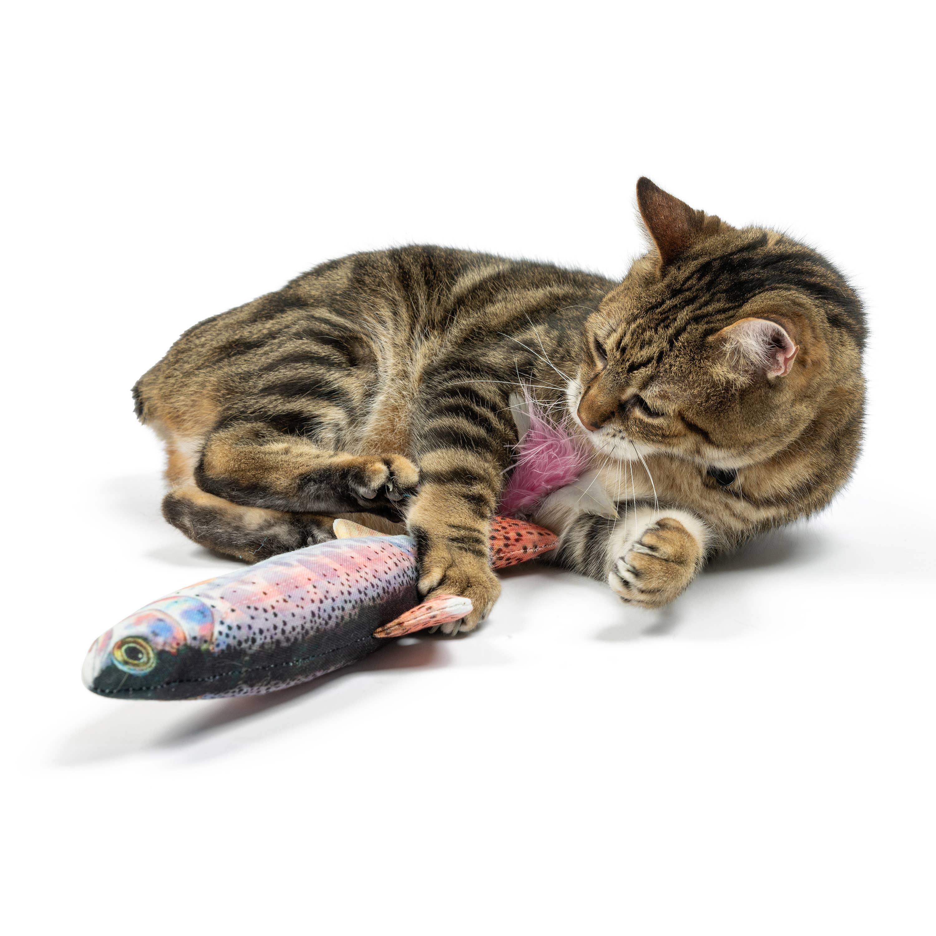 Huxley & Kent Kitty Kicker Rainbow Trout Cat Toy