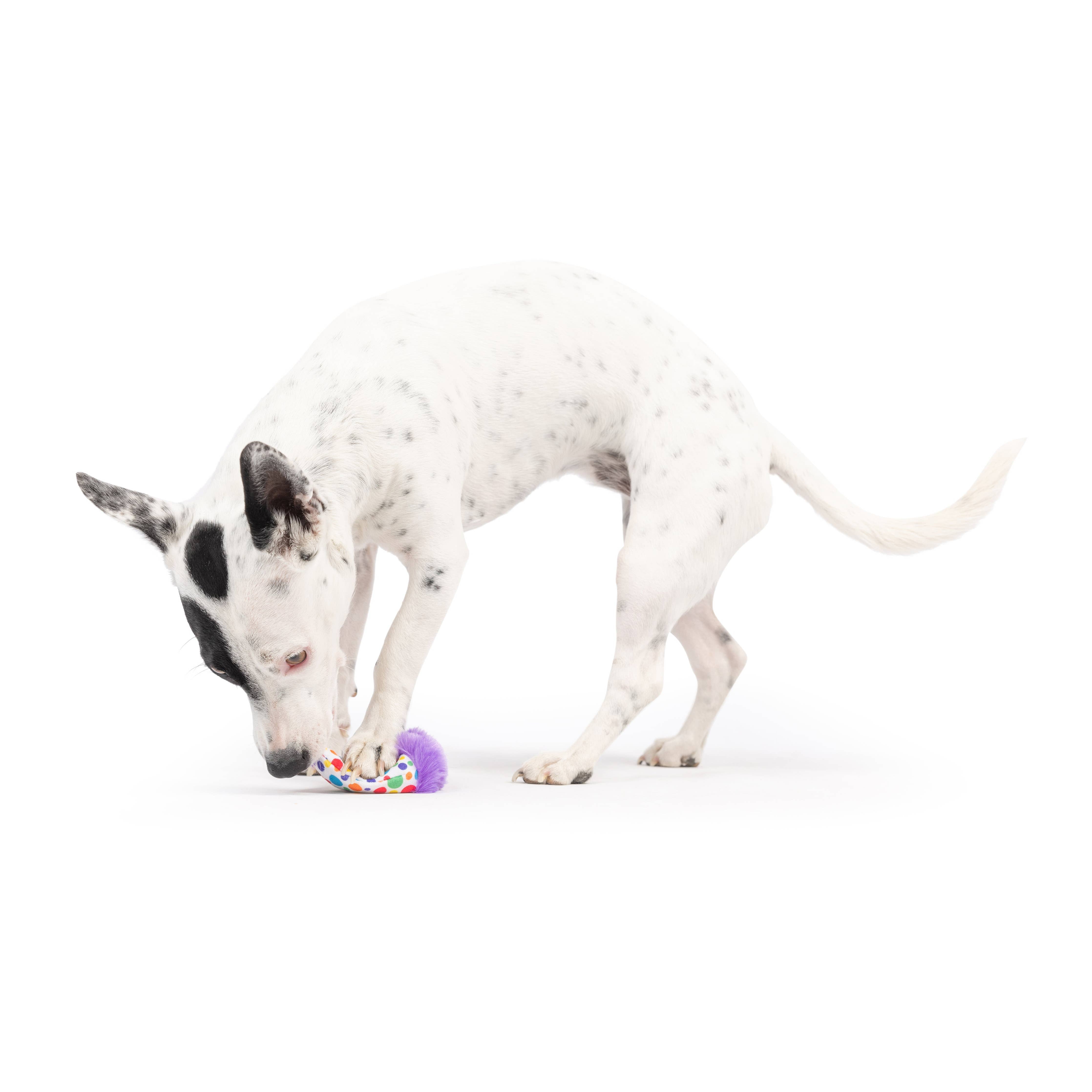 Huxley & Kent Tiny Tuff Polka Dot Party Hat