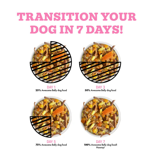 Weruva Awesome Functions Belly Canned Dog Food