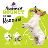 Weruva Awesome Functions Bouncy Canned Dog Food