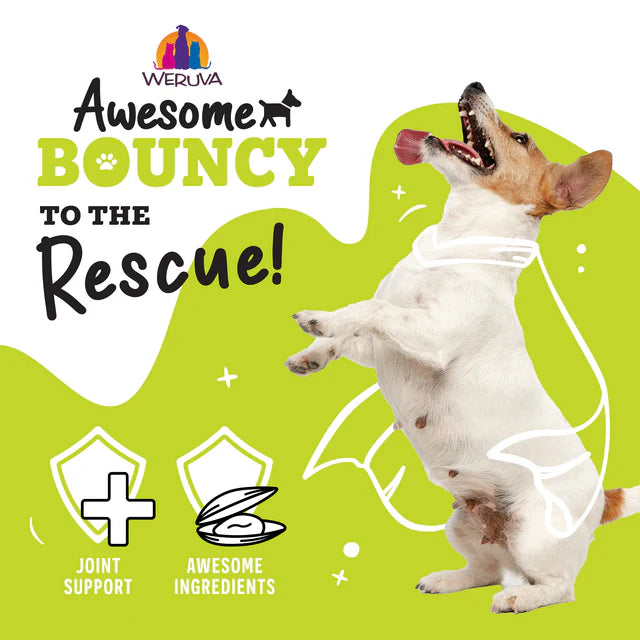 Weruva Awesome Functions Bouncy Canned Dog Food