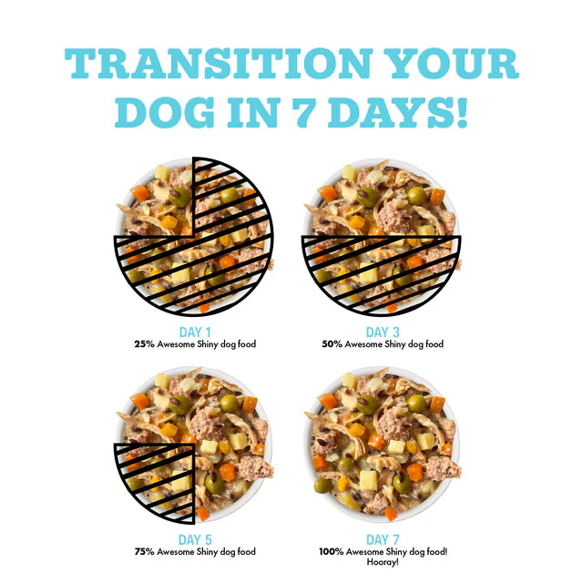 Weruva Awesome Functions Shiny Canned Dog Food