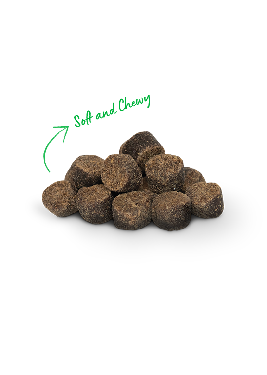 Open Farm Be Good Bites Soft & Chewy Chicken 6oz Dog Treats