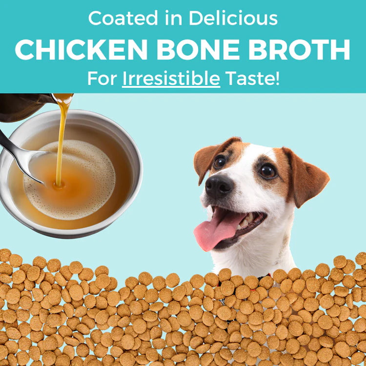 Koha Limited Ingredient Bland Diet Dry Dog Food