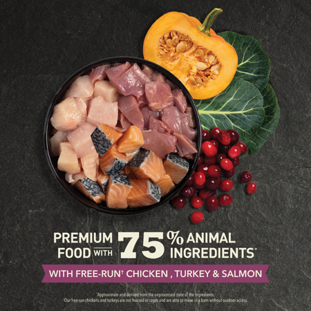 Acana Cat Highest Protein Kitten Dry Cat Food