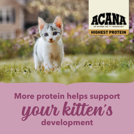 Acana Cat Highest Protein Kitten Dry Cat Food