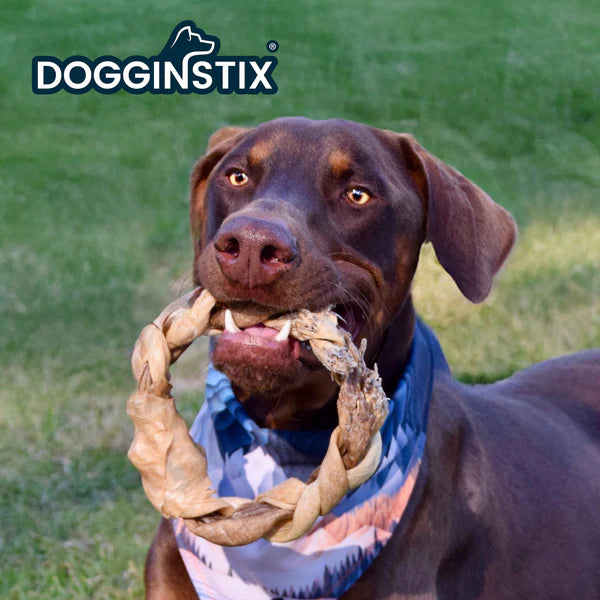 Dogginstix Braided Lamb Collagen Ring Dog Chew