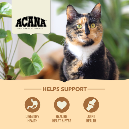 Acana Cat Senior Entree Dry Cat Food