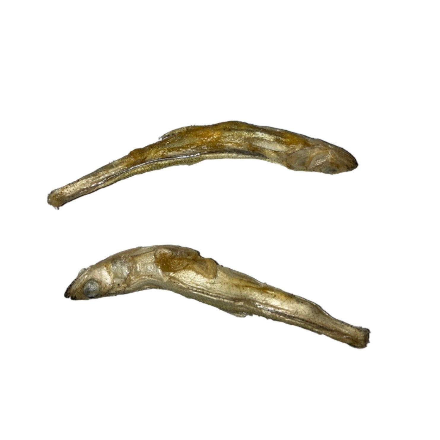 Northwest Naturals Freeze-Dried Minnows Sample Bag Dog & Cat Treats