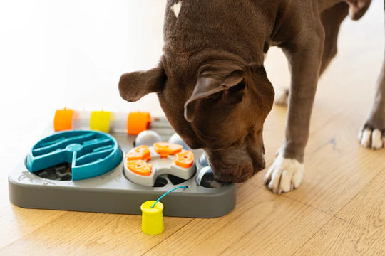 Messy Mutts Flip'n Slide Interactive Puzzle Feeder for Dogs