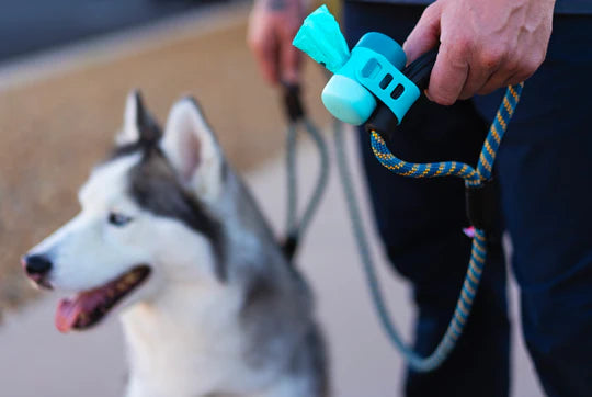 Messy Mutts Poop Bag Dispenser with Silicone Strap