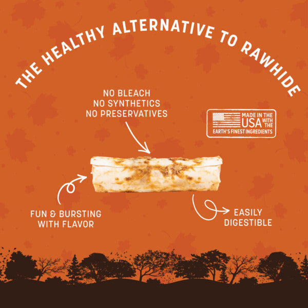 Earth Animal No Hide Seasonal Pumpkin Spice Recipe Chew Treat