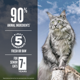 Orijen Cat Guardian 8 Senior Dry Cat Food