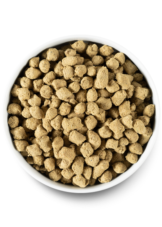 Open Farm Freeze-Dried Raw Pork Dog Food