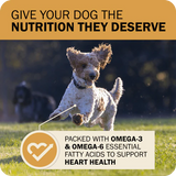 Redbarn Fusion Kibble + Air-Dried Whole Grain Sky Mix Recipe Dry Dog Food