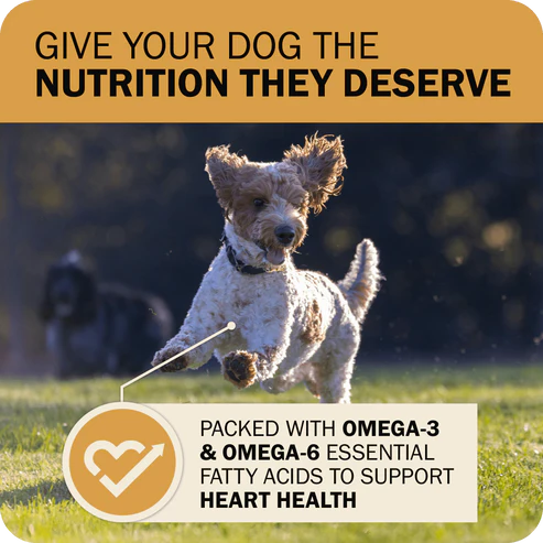 Redbarn Fusion Kibble + Air-Dried Whole Grain Sky Mix Recipe Dry Dog Food