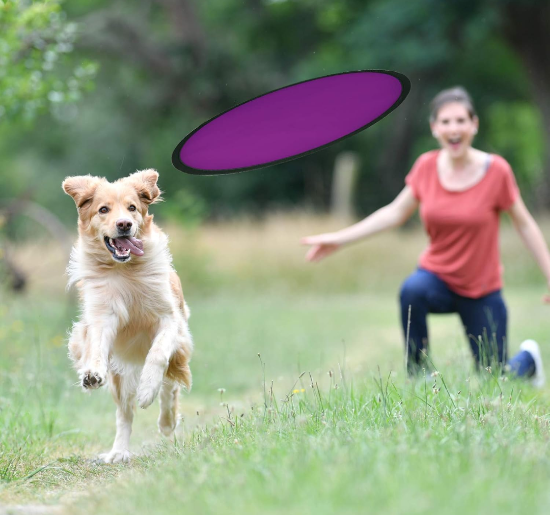 Sparky & Co Foldable Nylon Frisbee Flyer 8" with Travel Pouch