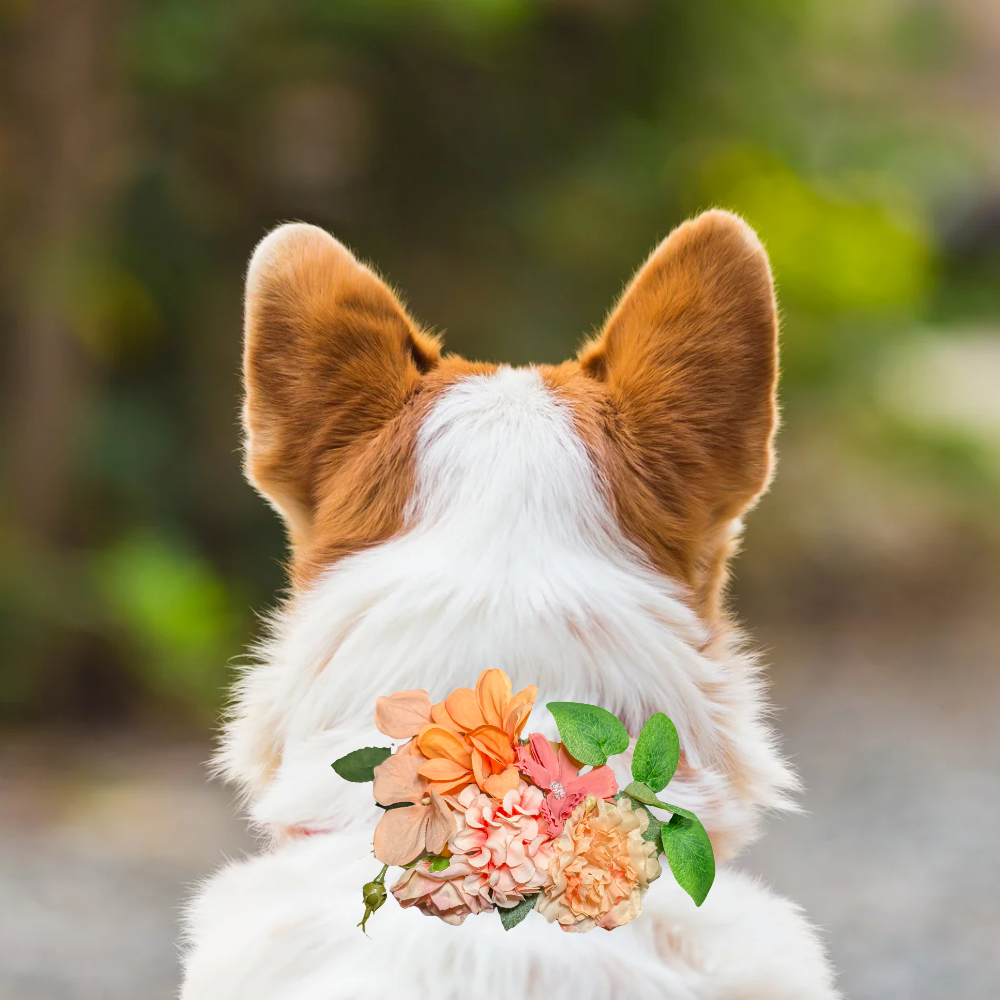 Sparky & Co Garden Party Flower Corsage Collar Accessory