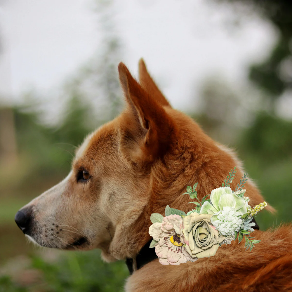 Sparky & Co Garden Party Flower Corsage Collar Accessory
