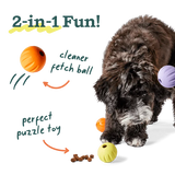 Woof Flyball 2-in-1 Fetch Ball Puzzle Dog Toy
