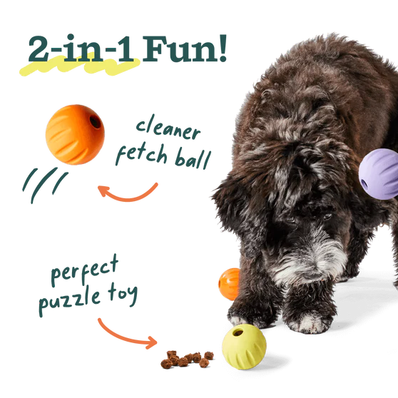 Woof Flyball 2-in-1 Fetch Ball Puzzle Dog Toy