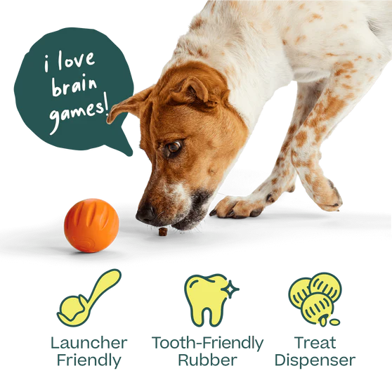 Woof Flyball 2-in-1 Fetch Ball Puzzle Dog Toy