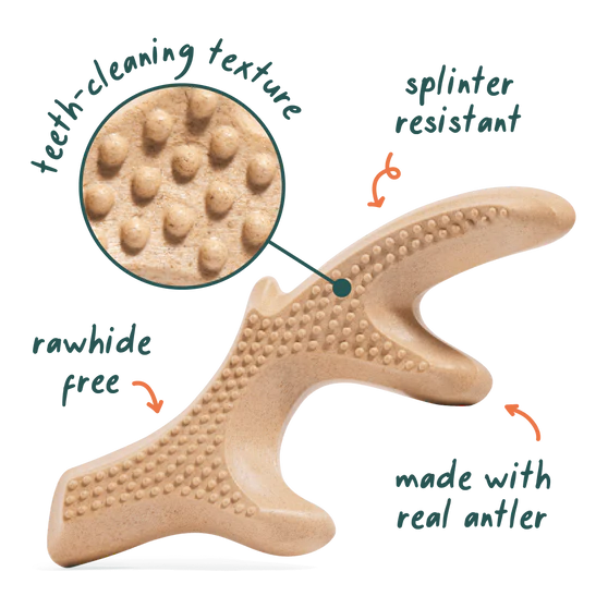 Woof Honest Chew Dog Toy