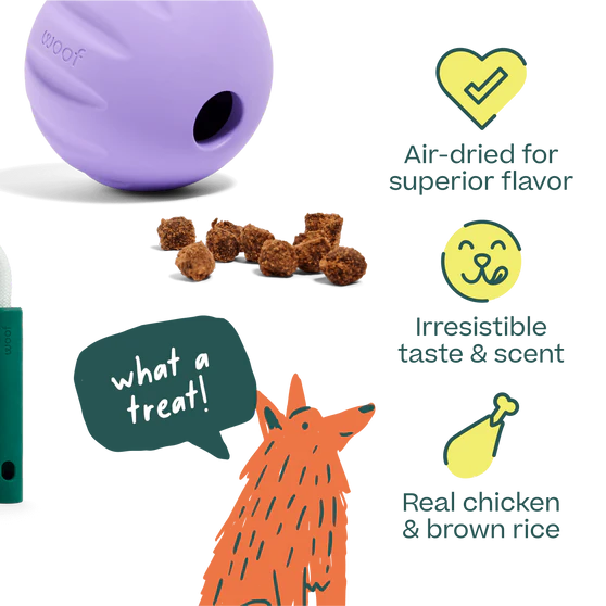 Woof Puzzle Treats for Dogs