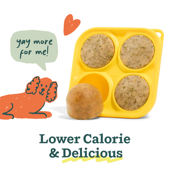 Woof Dog Pupsicle Treat Mix 5.5oz