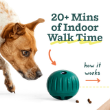 Woof Walkabout Slow Feeder Treat Puzzle Dog Toy