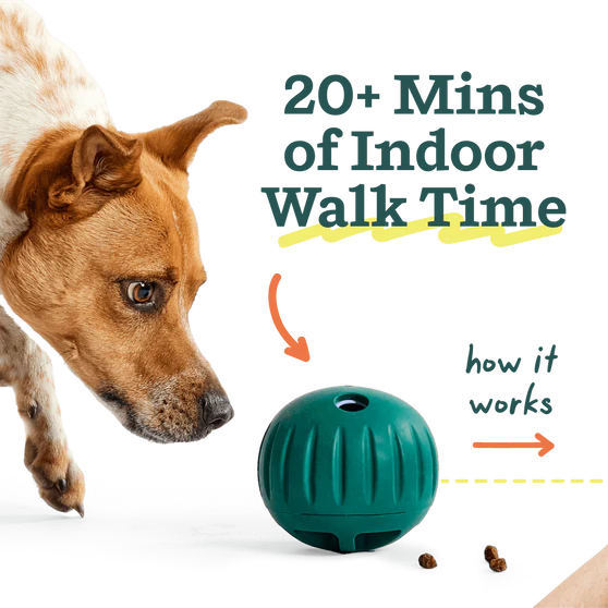 Woof Walkabout Slow Feeder Treat Puzzle Dog Toy