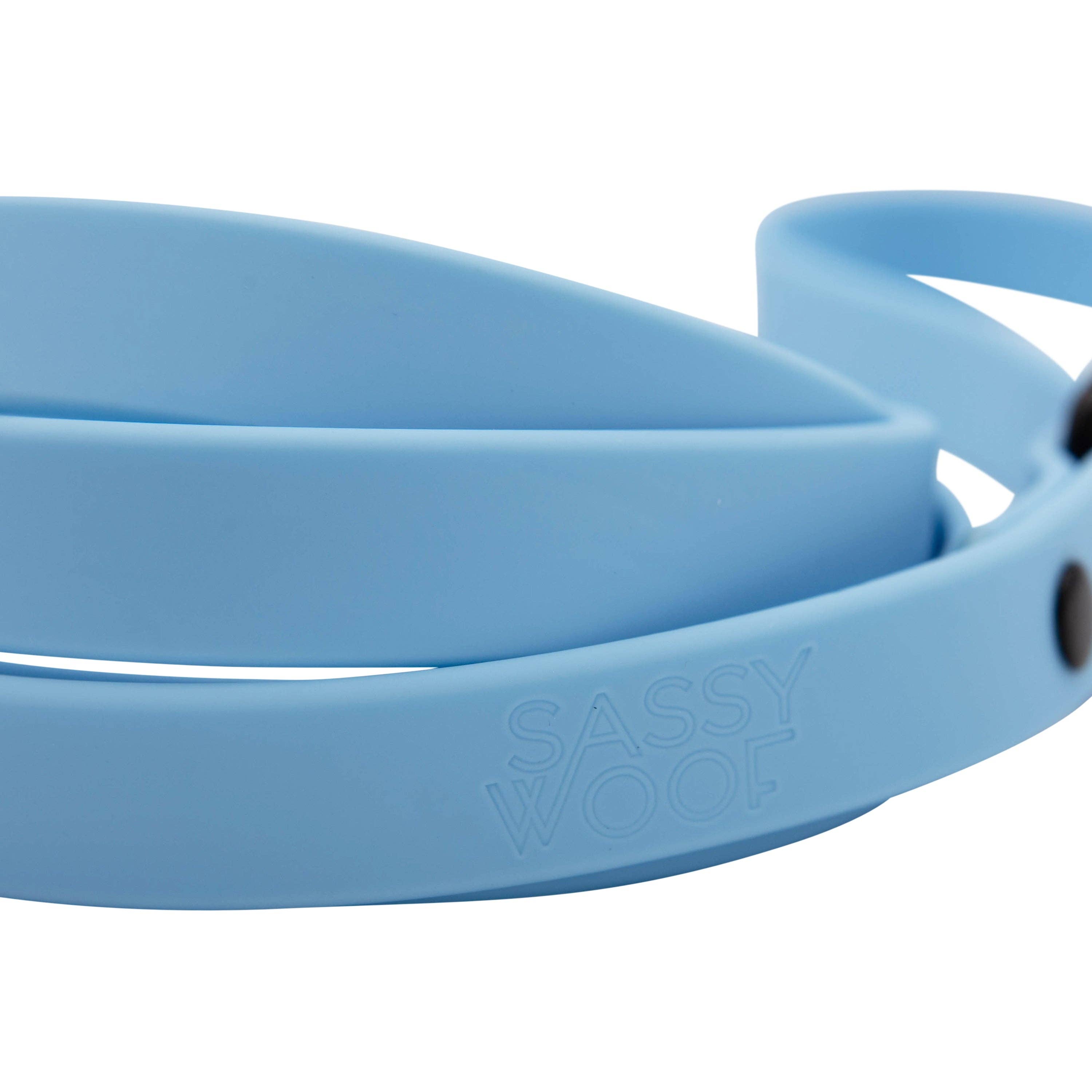 SASSY WOOF Blue Dog Waterproof Leash