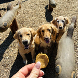 Farm to Pet Healthy Dog Treats Fish Chips Dog Treats