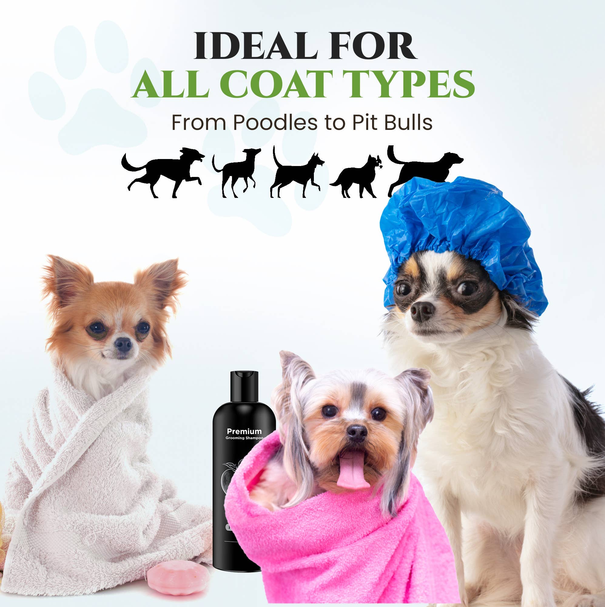 605 Fragrance Products Natural Dog Shampoo and Deodorizer Fresh Apple Shampoo