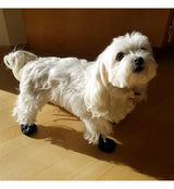 Alldogboots PolarPaws Soft Sole Waterproof Winter Dog Boots
