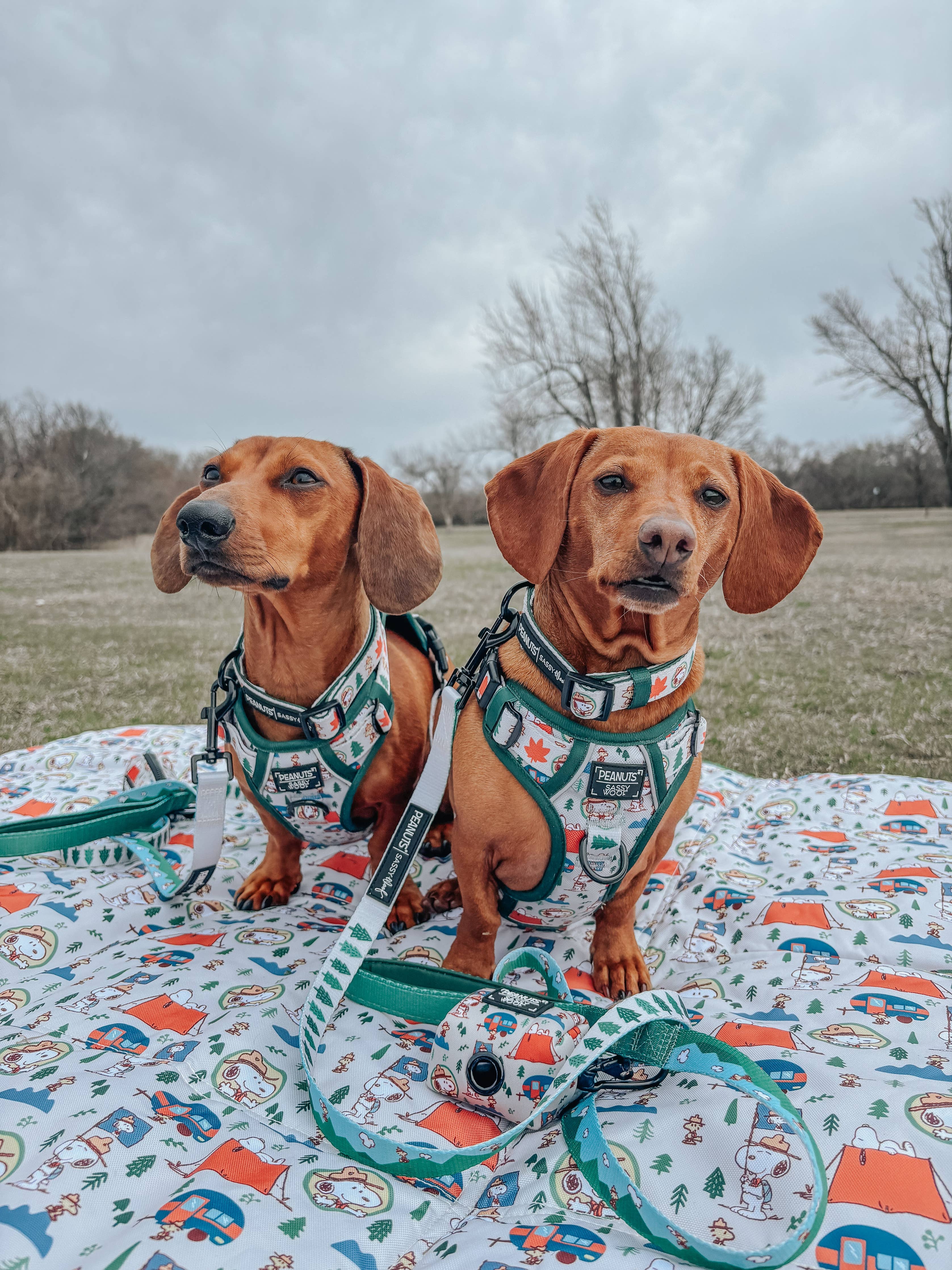 SASSY WOOF Peanuts Beagle Scouts Dog Waste Bag Holder