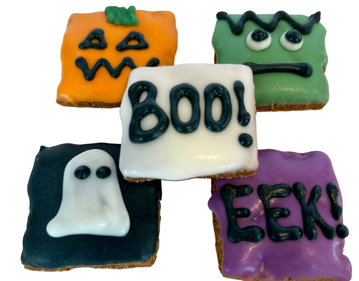 DELCO DOG CO. Assorted Mini Halloween Bakery Dog Treats