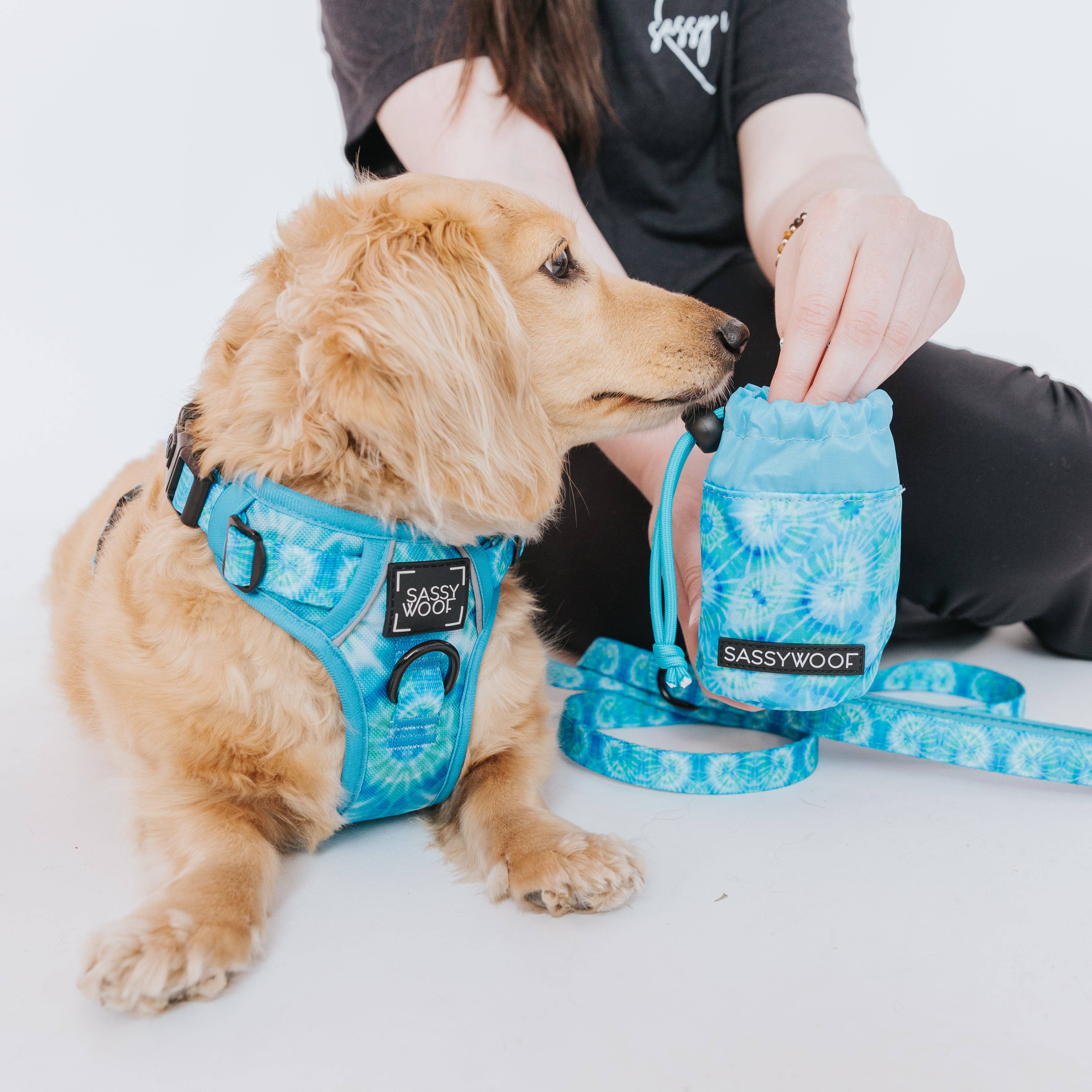 SASSY WOOF Tropical Tides Treat Pouch