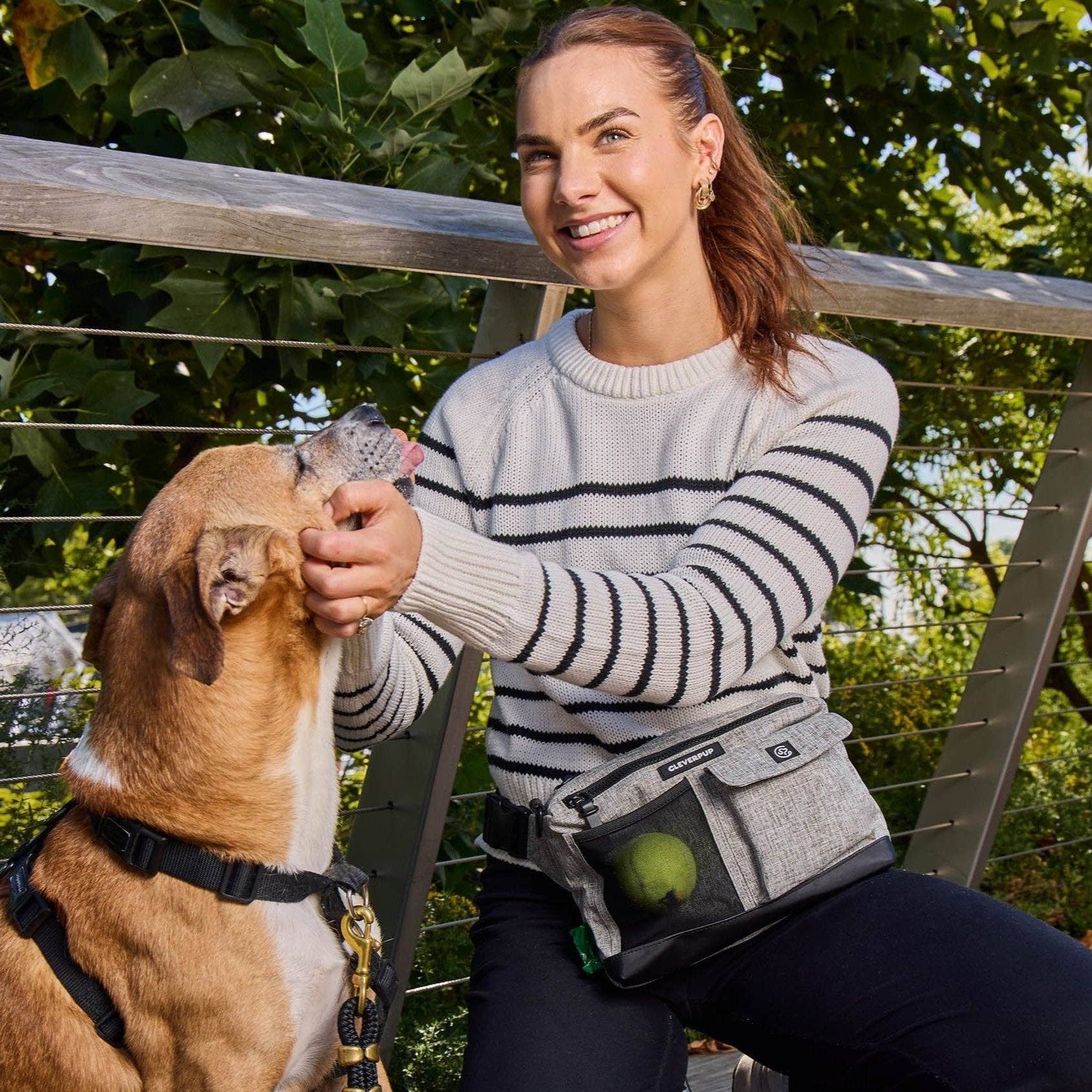 Cleverpup Dog Walk & Train Sling Bag