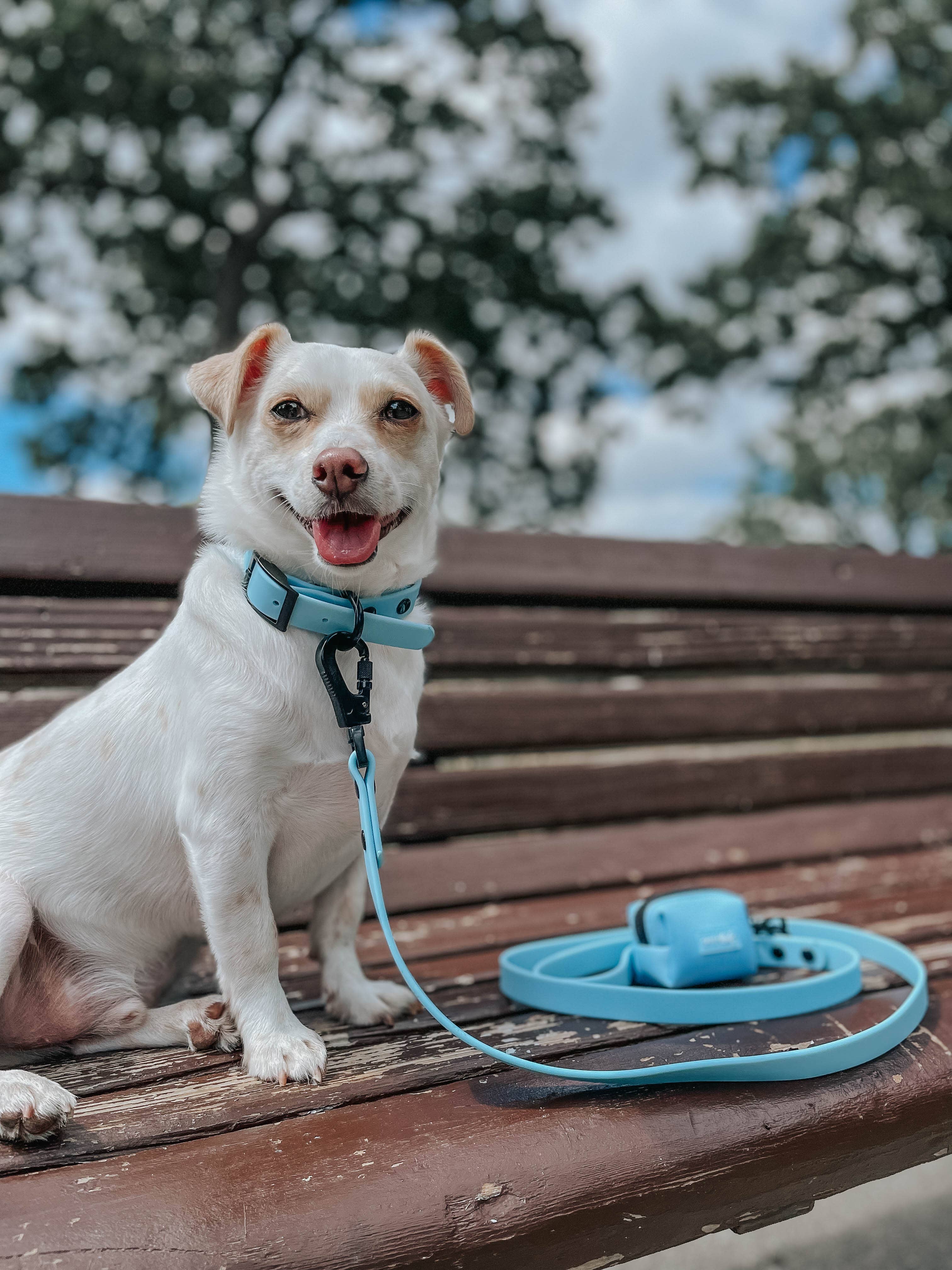 SASSY WOOF Blue Dog Waterproof Leash