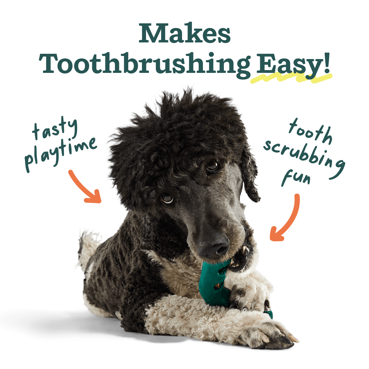 Woof The Bite n' Brush Dental Dog Toy