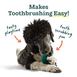 Woof The Bite n' Brush Dental Dog Toy