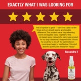 Warren London Dog Products Grapeseed Oil Paw Revitalizer
