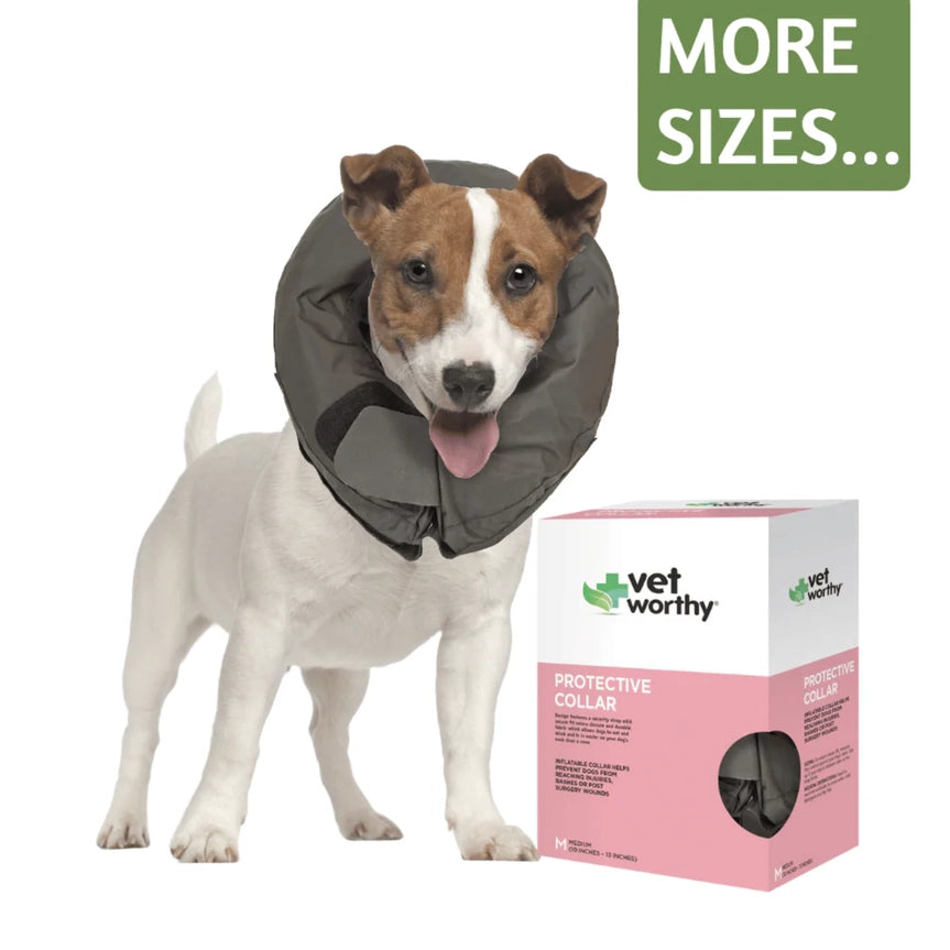 Vet Worthy Pet Protective Soft Recovery Collar Boxed